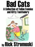 Cover: Bad Cats - BOOKBABY