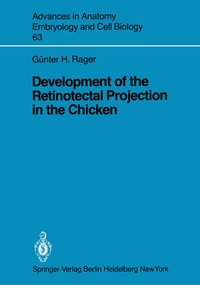 Bild: Development of the Retinotectal Projection in the Chicken - Springer