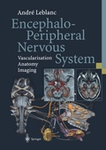 Bild: Encephalo-Peripheral Nervous System - Springer