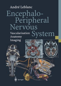 Bild: Encephalo-Peripheral Nervous System - Springer