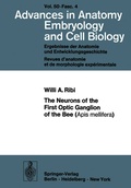 Cover: The Neurons of the First Optic Ganglion of the Bee (Apis mellifera) - Springer