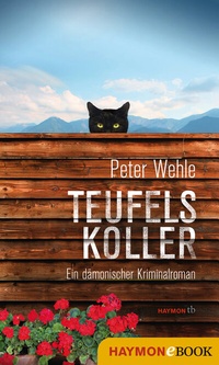 Abbildung von: Teufelskoller - Haymon Verlag