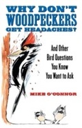 Cover: Why Don't Woodpeckers Get Headaches? - Beacon Press