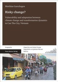 Cover: Risky change? - Franz Steiner Verlag