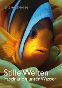 Abbildung von: Stille Welten - Hübner, Felicitas