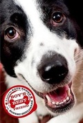 Cover: Boy's Best Friend - Farrar, Straus and Giroux (BYR)