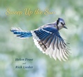 Cover: Sweep Up the Sun - Candlewick Press,U.S.