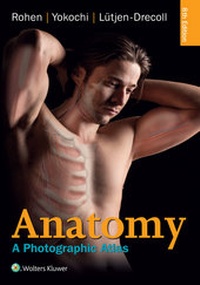 Enlarge image Cover: Anatomy - LWW