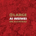 Cover: At Large - Chronicle Books