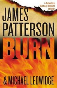 Enlarge image Cover: Burn - Hachette Book Group