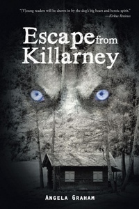 Enlarge image Cover: Escape from Killarney - AUTHORHOUSE