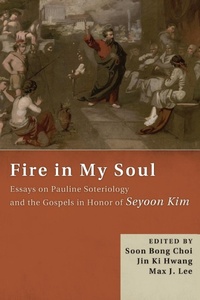 Enlarge image Cover: Fire in My Soul - Wipf & Stock Publishers