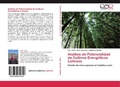 Cover: Analisis de Potencialidad de Cultivos Energeticos Lenosos - Editorial Acad&eacute;mica Espa&ntilde;ola