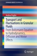 Cover: Transport and Fluctuations in Granular Fluids - Springer