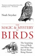 Cover: The Magic & Mystery of Birds - Souvenir Press Ltd
