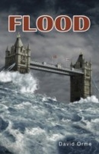 Enlarge image Cover: Flood - RANSOM PUBLISHING