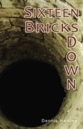 Cover: Sixteen Bricks Down - RANSOM PUBLISHING