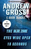 Cover: The Andrew Gross Thriller - HarperCollins