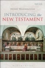 Cover: Introducing the New Testament - T.& T.Clark Ltd
