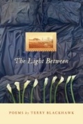 Cover: Light Between - Wayne State University Press