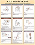 Cover: Stretching Poster - Human Kinetics