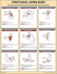 Abbildung von: Stretching Poster - Human Kinetics