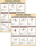 Cover: Stretching Anatomy Poster Series - Human Kinetics