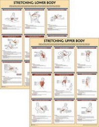 Abbildung von: Stretching Anatomy Poster Series - Human Kinetics