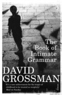 Cover: The Book Of Intimate Grammar - Vintage Digital