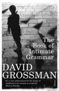 Enlarge image Cover: The Book Of Intimate Grammar - Vintage Digital