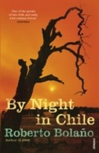 Abbildung von: By Night in Chile - Vintage Digital