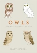 Cover: Owls - Ebury Digital
