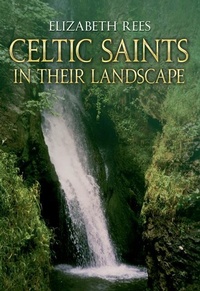 Abbildung von: Celtic Saints In Their Landscape - Amberley Publishing