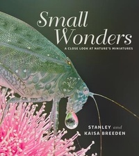 Enlarge image Cover: Small Wonders - Fremantle Press