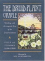 Cover: The Druid Plant Oracle - Connections Book Publishing Ltd