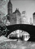 Cover: Notecards with Envelopes - New York - New Holland Publishers