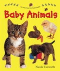 Cover: Say and Point Picture Boards: Baby Animals - Armadillo Books