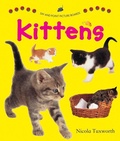Cover: Say and Point Picture Boards: Kittens - Armadillo Books