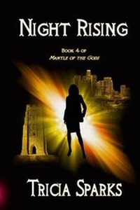 Enlarge image Cover: Night Rising - Trinity Gateways LLC