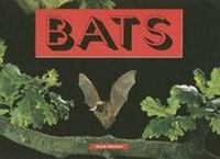 Enlarge image Cover: Bats - Rigby