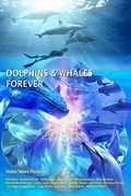 Cover: Dolphins & Whales Forever - Dancing Seas Media