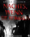 Cover: Nachts, wenn sie kommen - BookRix