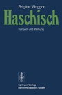 Cover: Haschisch - Springer