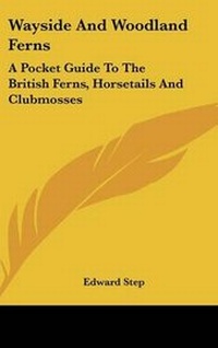 Abbildung von: Wayside And Woodland Ferns - Kessinger Publishing