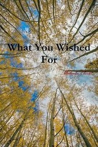 Enlarge image Cover: What You Wished for - Lulu Press