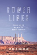 Cover: Power Lines - Princeton University Press