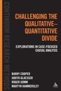 Cover: Challenging the Qualitative-Quantitative Divide - Continuum Publishing Corporation