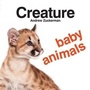 Cover: Creature Baby Animals - Chronicle Books (CA)