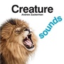 Cover: Creature Sounds - Chronicle Books LLC