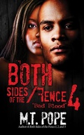 Cover: Both Sides of the Fence 4 - Urban Renaissance